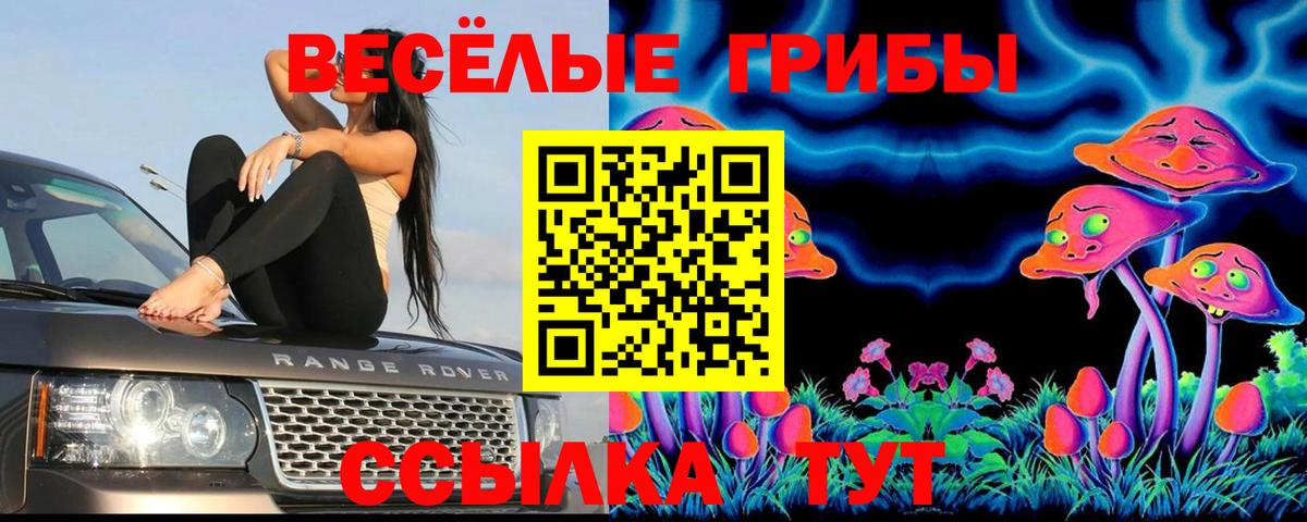 Псилоцибиновые грибы ЛСД  Вход с VPN  Мытищи 